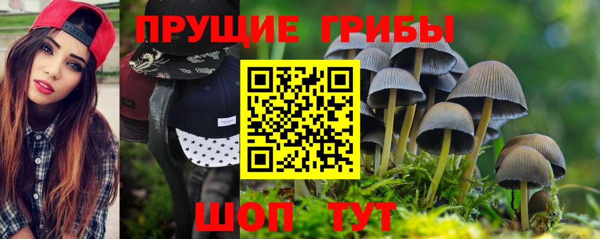 Галлюциногенные грибы GOLDEN TEACHER Сегежа