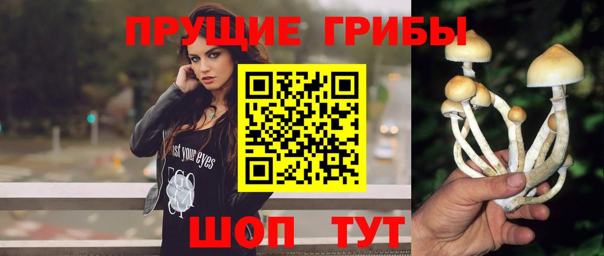 Сегежа  Галлюциногенные грибы GOLDEN TEACHER  Вход с VPN  Галлюциногенные грибы прущие грибы 